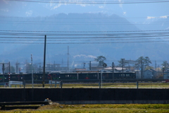 時々走る変わった電車君です^^♪