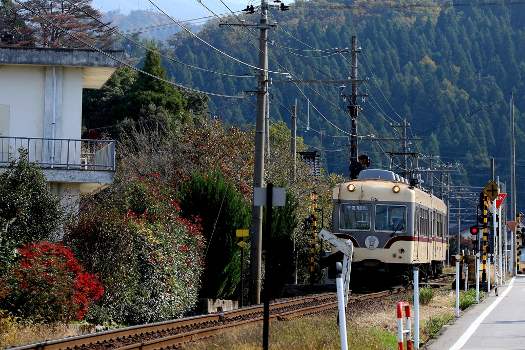 待つわ♪電車君！