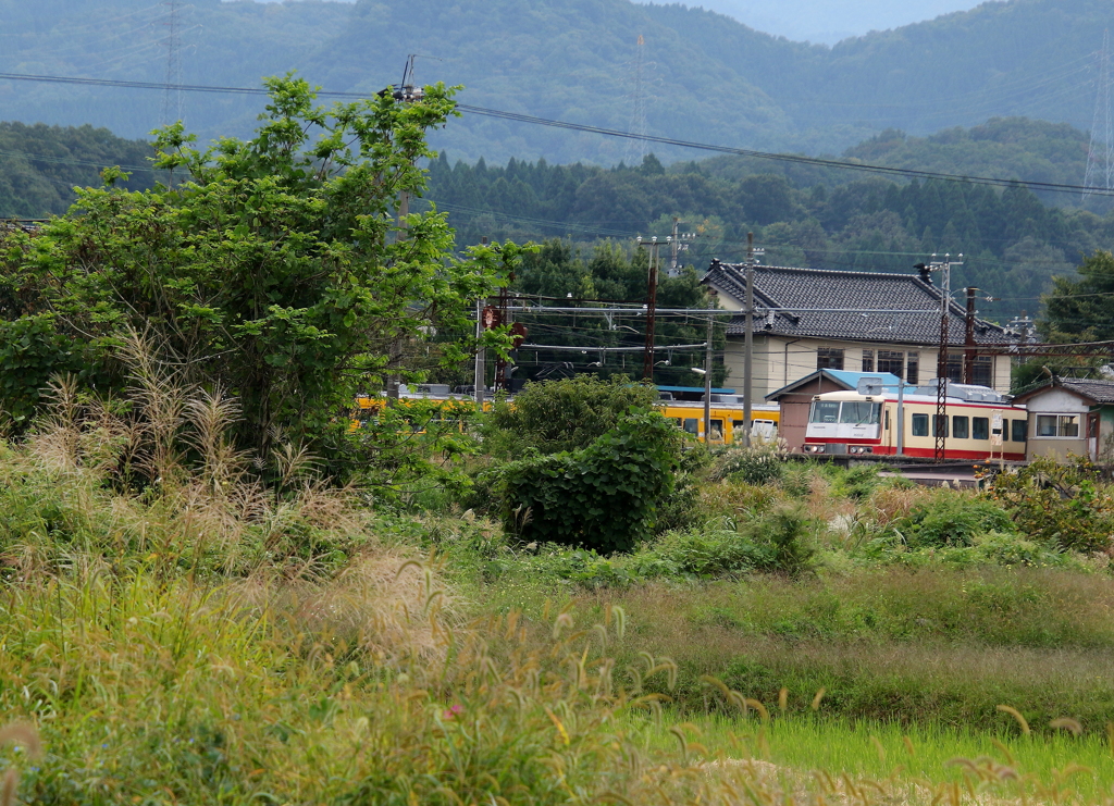 アルペン号　と　かぼちゃ君