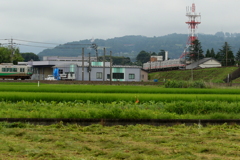 タッチの差で交差できませんでした。