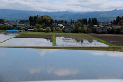 水田
