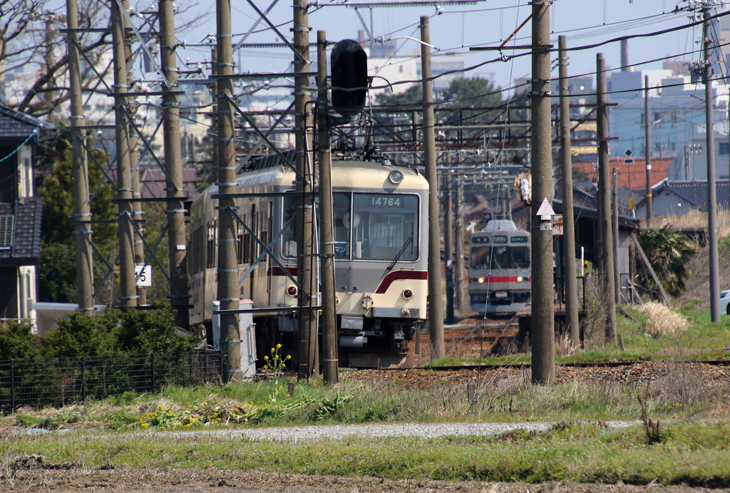 すれ違い　ステン君とダイコン君～♪
