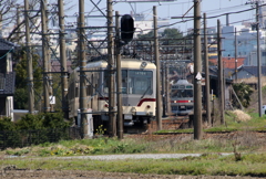 すれ違い　ステン君とダイコン君～♪