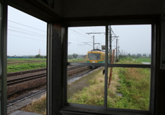 雨の日のかぼちゃ君～♪