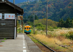 かぼちゃ君~♪