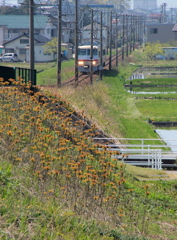 地鉄君が来たよ♪