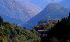 ダイコン君の旅は続く～♪