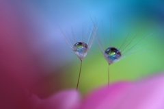 あいことば～♪