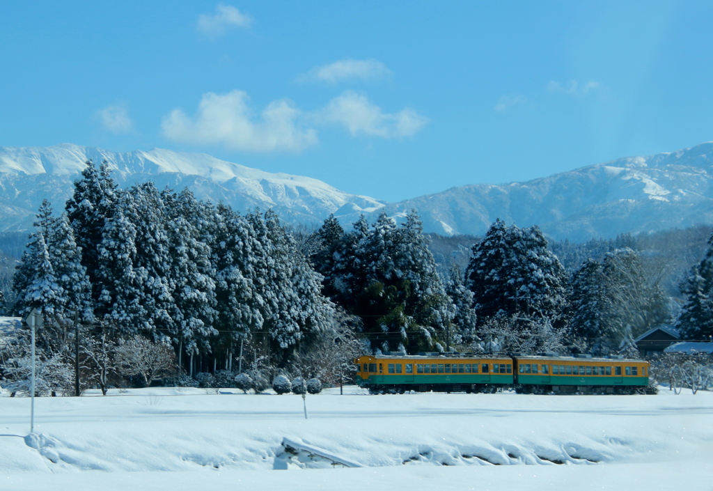 雪の中を～かぼちゃ君が走る~♪