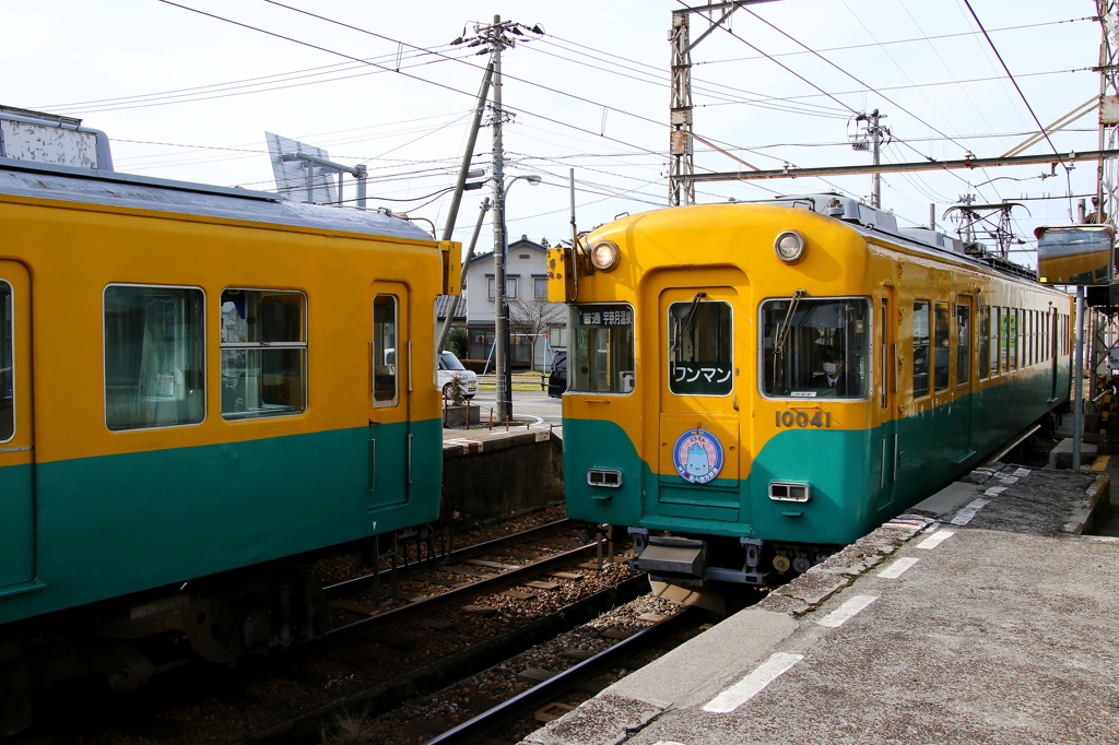 w かぼちゃ君のすれ違い～♪