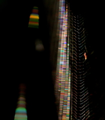 色彩のハーモニー