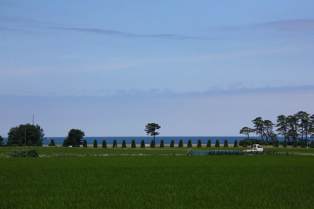 空と海と緑の大地