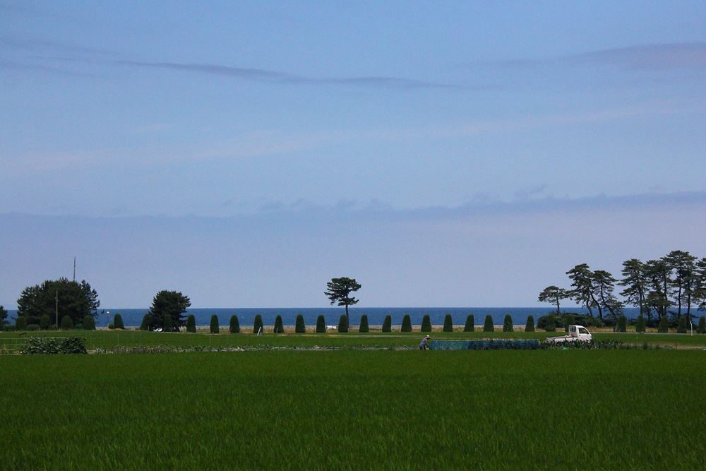 空と海と緑の大地