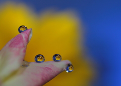 このゆびとまれ～♪