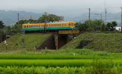 かぼちゃ君～♪