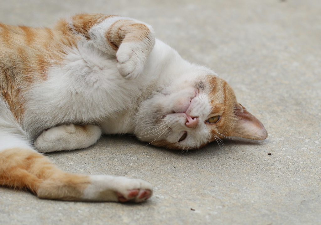 もっと、こっちに来なよ