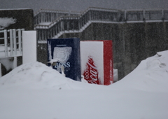 雪国のボス