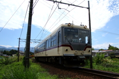 ダイコン君～♪