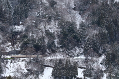 山の中を走るダイコン電車