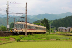 若葉の頃