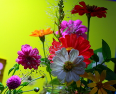 机の上の俳優たち