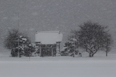 しんしんと降る雪