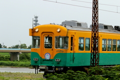 愛しき、かぼちゃ君～♪