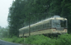 雨の日のダイコン君の後ろ姿～♪