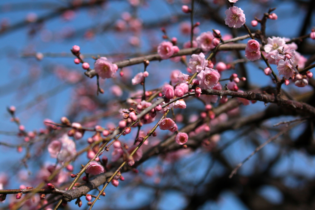 青空が気持ちいいなぁ～