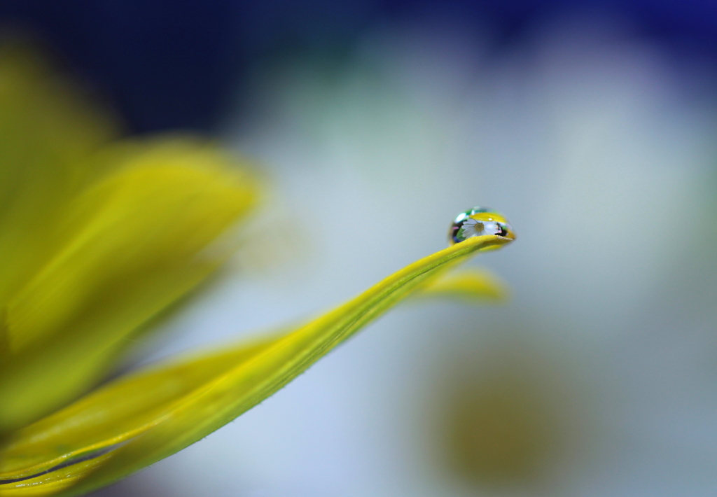 そっとね・・・