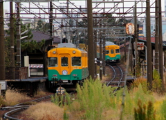 かぼちゃ君～かぼちゃ君待つ場所へ^^♪