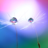心海ＤＲＯＰＳ・・・光と共に・・・