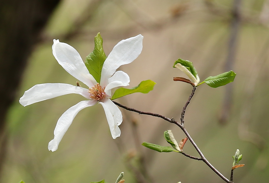 何て名前かな？