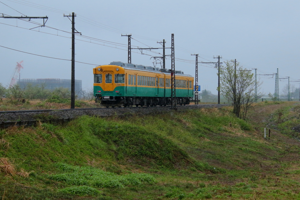雨の日のかぼちゃ君~♪