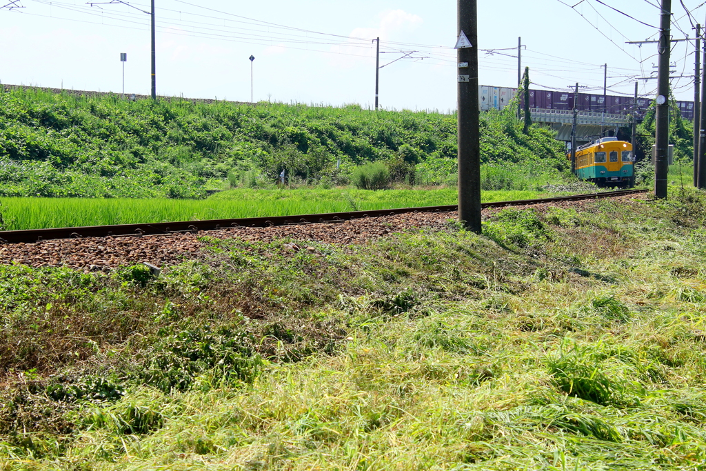 かぼちゃ電車、貨物と交差～♪