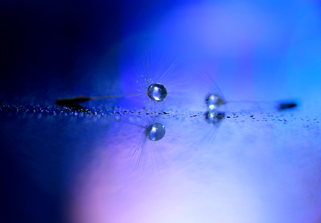 心海DROPS・・・