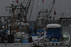 海にもしんしんと