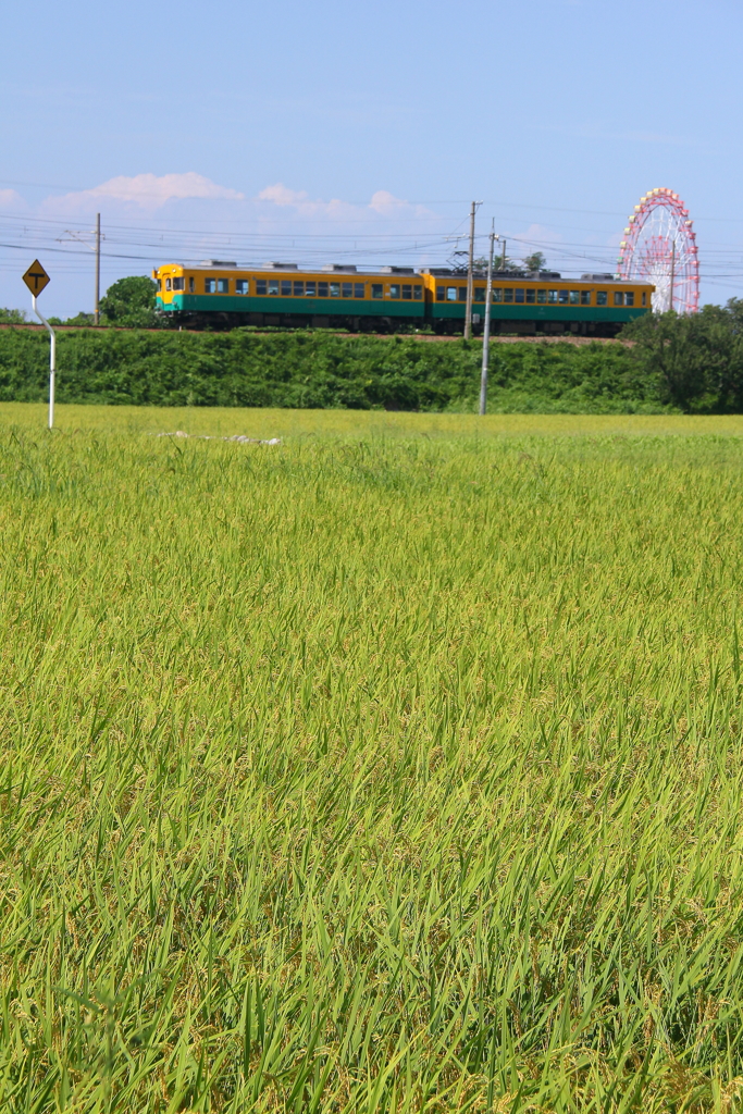 鉄子、観覧車と電車に興奮