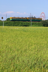 鉄子、観覧車と電車に興奮
