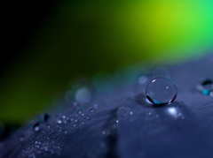 銀の龍の背に乗って～♪