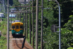 カボチャ電車君～！