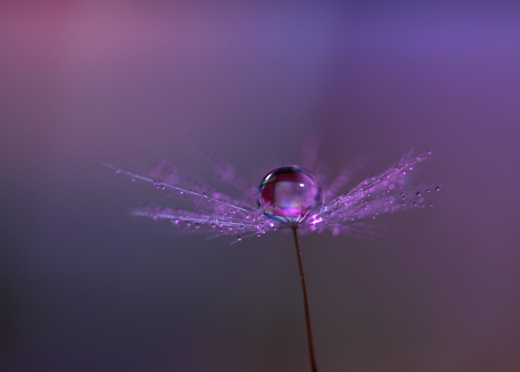 ノクターン～♪