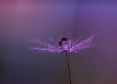 ノクターン～♪