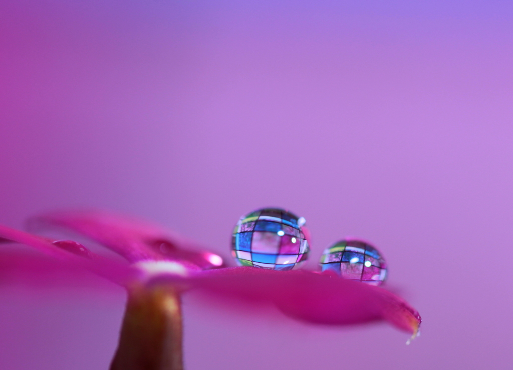 ピエロの作る雫