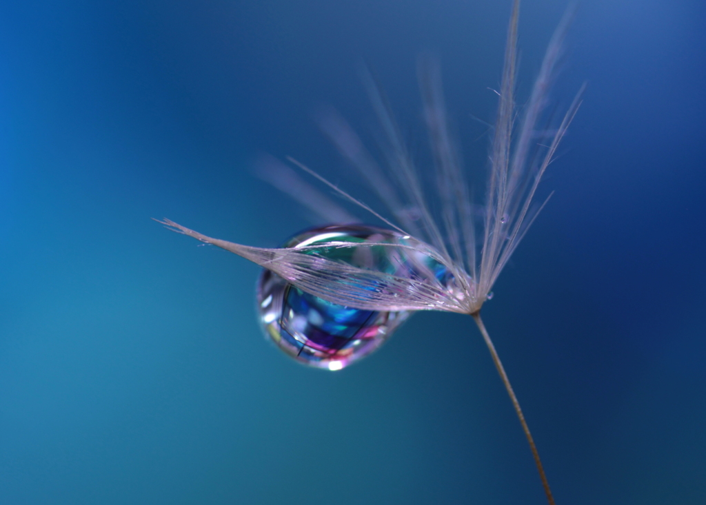 心海ＤＲＯＰＳ　57
