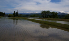里山の春