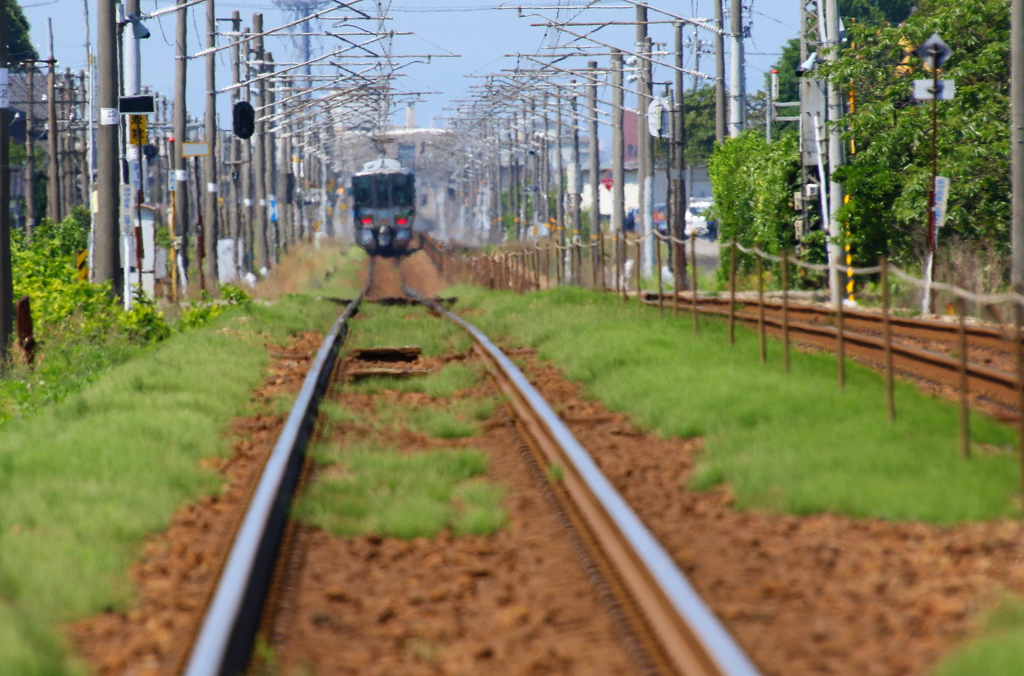 陽炎とともに去りゆく  (あいの風鉄道）
