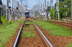 陽炎とともに去りゆく  (あいの風鉄道）