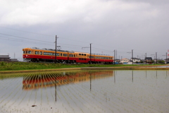 水田に映るダブルデッカー君