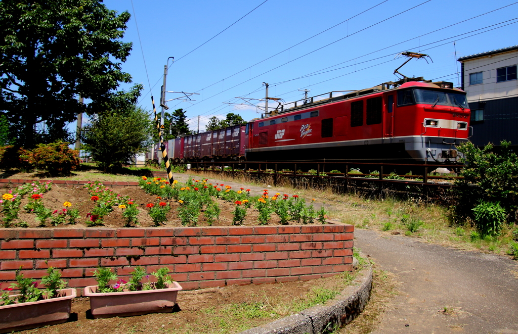 レッドサンダーが貨物を連れて・・・♪